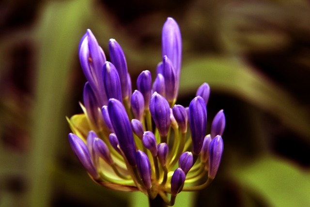 2025年乒乓球混合团体世界杯收官，过程中出现的三大看点值得回味