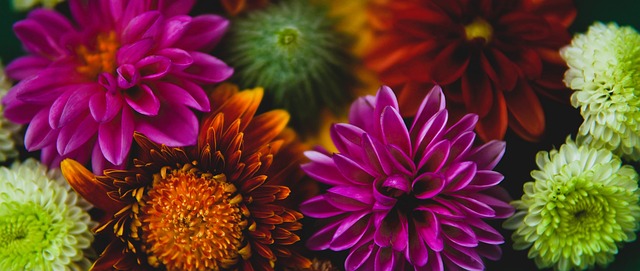 亚精英第六轮最后两场比赛已经结束，申花客场0-1不敌广岛三箭，FC首尔1-1战平墨尔本城。